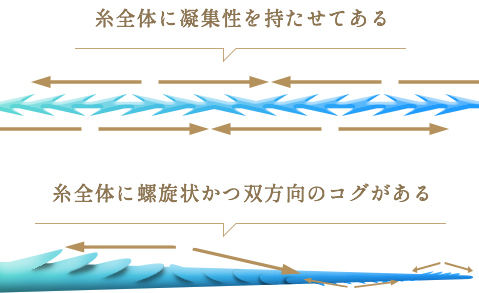 N-COG Spiral（エヌコグスパイラル）の特徴